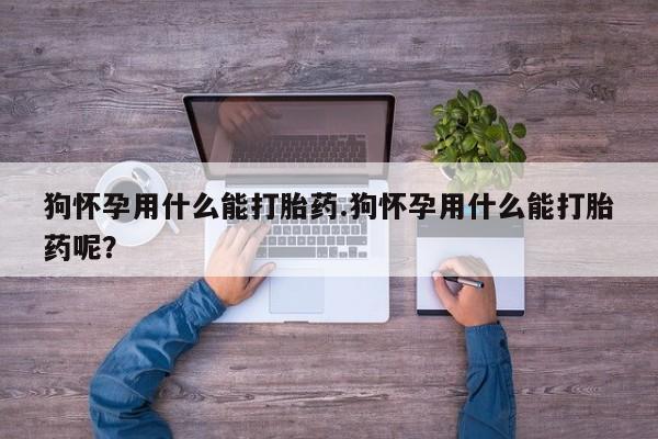 流产药购买联系狗怀孕用什么能打胎药.狗怀孕用什么能打胎药呢？