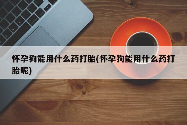 流产药购买联系怀孕狗能用什么药打胎(怀孕狗能用什么药打胎呢)