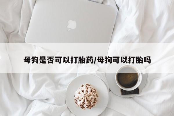 流产药购买联系母狗是否可以打胎药/母狗可以打胎吗